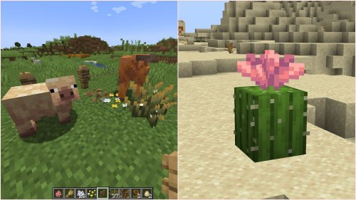 6 best things to do in Minecraft Spring to Life game drop
