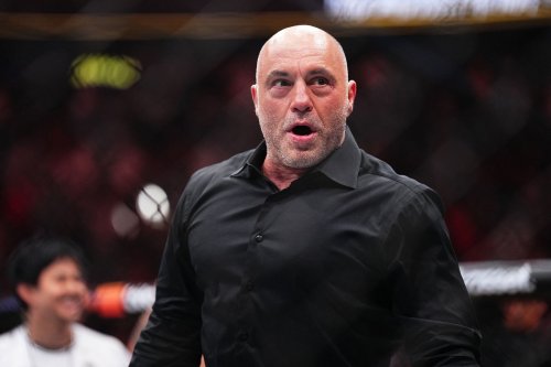 Joe Rogan recalls experiencing "super authentic" Indian cuisine despite the language barrier for menus