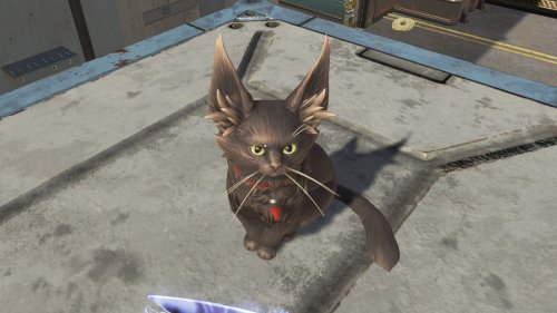 Every known Artemis cat location in Apex Legends