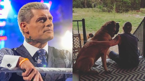 AEW star drops major tease about potential return to WWE after 5 years to help Cody Rhodes against The Bloodline