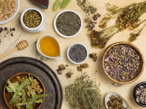 7 powerful herbs for inflammation and pain relief: Embrace nature's healing touch