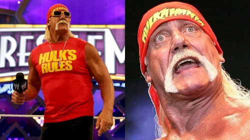 “Hulk Hogan you look like an idiot!” - 33-year old female star brutally ...