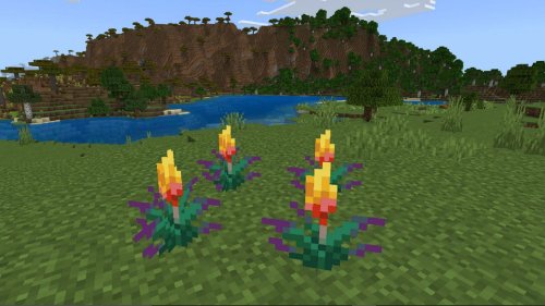 How To Get And Use Torchflower In Minecraft Flipboard    Medium 