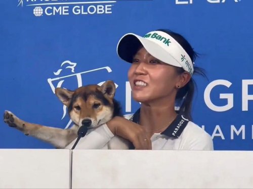 Lydia Ko’s furry friend perfectly matches her modeling pose in adorable post