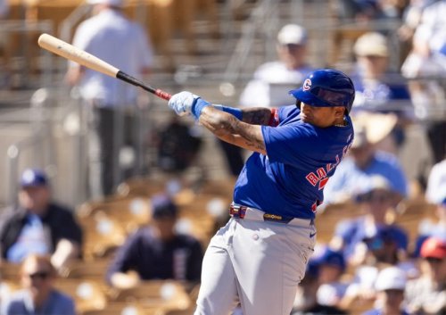 Cubs Call Up Top Hitting Prospect
