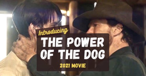 The Power of the Dog – New 2021 Movie Recommendation - SpotaMovie
