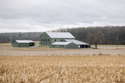 On the range with Pennsylvania’s professional farm sitters