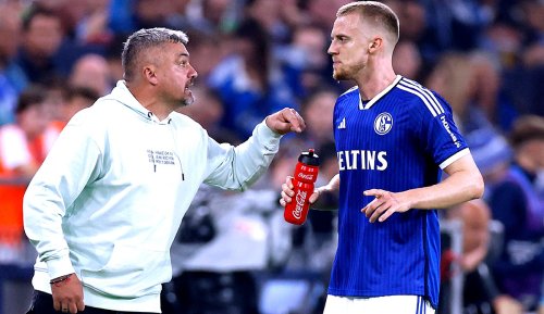 Schalke 04: Das ist die Philosophie vom Trainer! Timo Baumgartl attackiert Thomas Reis öffentlich - und wird bestraft