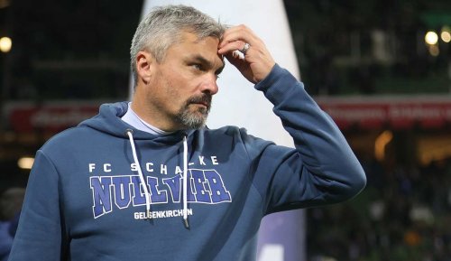 Offiziell! Schalke 04 trennt sich von Trainer Thomas Reis: Situation menschlich und inhaltlich festgefahren