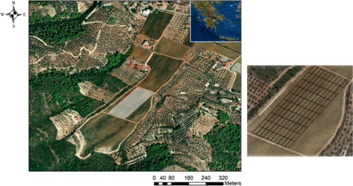 Investigation of the similarities between NDVI maps from different proximal and remote sensing platforms in explaining vineyard variability - Precision Agriculture