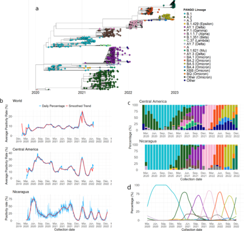 Tracking the genetic diversity of SARS-CoV-2 variants in Nicaragua throughout the COVID-19 pandemic