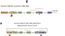 Expression of Human Anti-Hemophilic Factor IX in the Milk of Transgenic Sheep