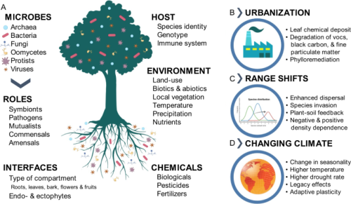 Plant / Microbe Interactions | @hhhernandez