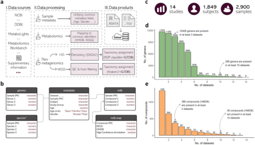 The gut microbiome-metabolome dataset collection: a curated resource for integrative meta-analysis