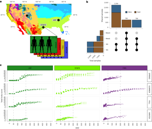 A conserved interdomain microbial network underpins cadaver decomposition despite environmental variables