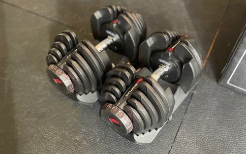 Bowflex SelectTech Adjustable Dumbbells Are Finally Back Down to $350