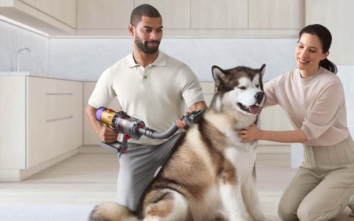 Would You Vacuum Your Dog To Stop Uncontrollable Shedding? Dyson’s New Pet Grooming Kit Promises Exactly That