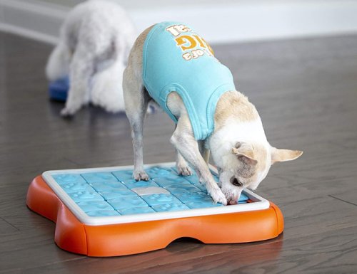 These Dog Food Puzzles Provide Mental Stimulation and Increase Your Pup’s IQ