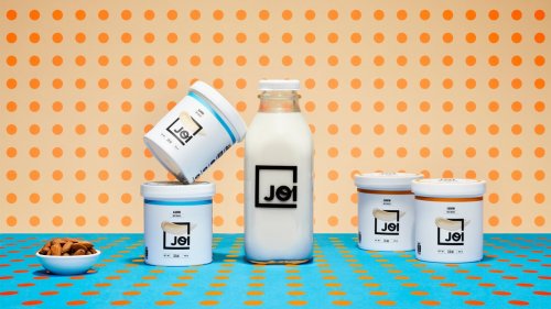 JOI Milk Review- Plant Based Alternative Saves Money — duuude | Only the Good Stuff- Reviews, Must Grabs, and Deals