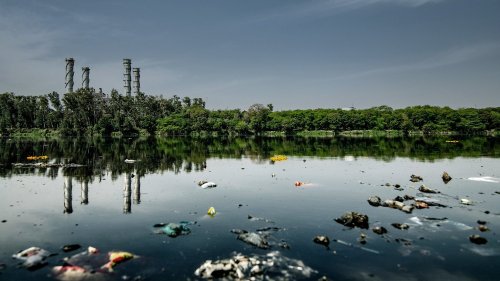 Fighting big plastic — and winning — Parley