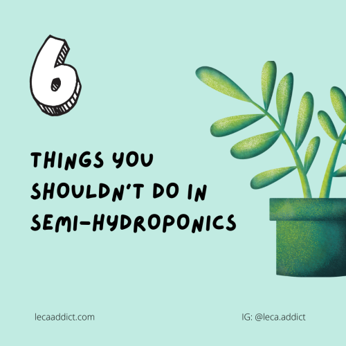 6 things you shouldn't do in semi-hydroponics — LECA Addict