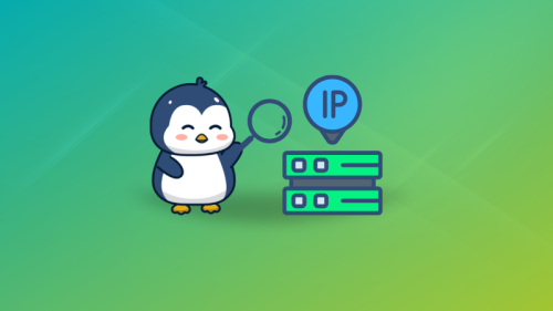 Get Router’s IP Address (Default Gateway) in Ubuntu Linux