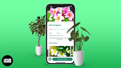 Best plant identifier apps for iPhone in 2022 – iGeeksBlog