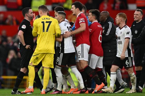 Aleksandar Mitrovic and Marco Silva apologise for FA Cup meltdowns in Fulham’s defeat to Man United