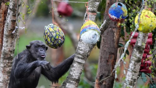 Faith and festivity: The best Easter images from around the world in 2025