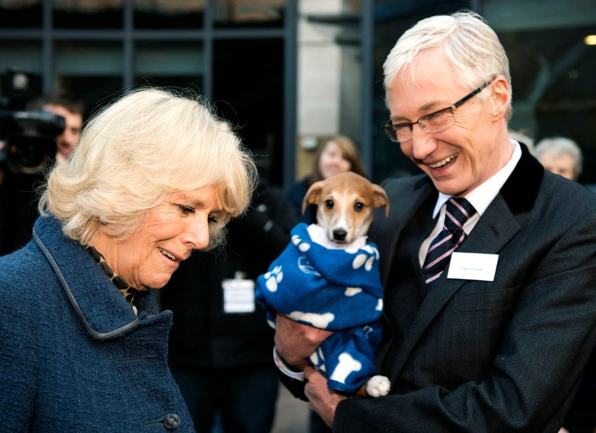 Paul O’Grady was ‘champion for the underdog’ – Battersea Dogs and Cats Home