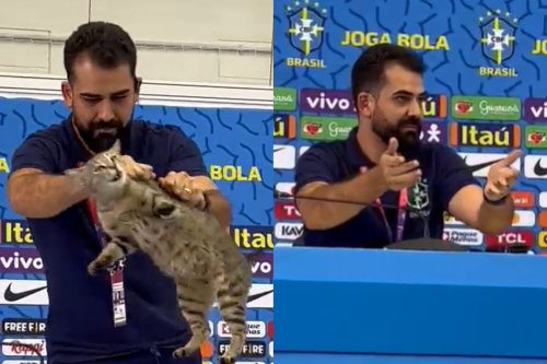 Brazil press officer sparks outrage by manhandling cat that made surprise appearance at World Cup briefing