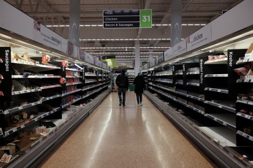 Covid: Surge in cases in EU could create meat shortages at Christmas