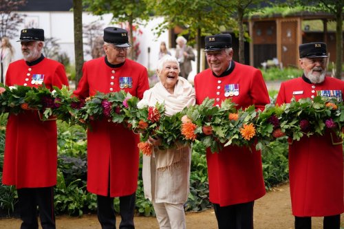 Autumn Chelsea Flower Show features different blooms and call to plant trees
