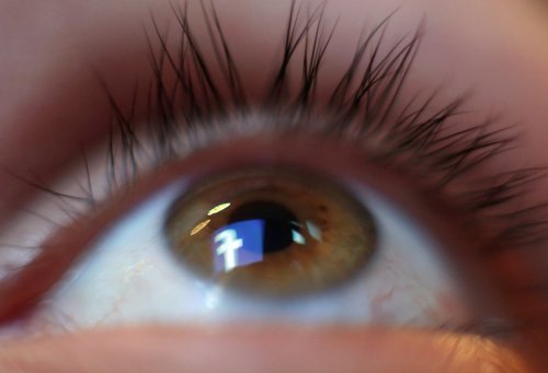MPs prepare for whistleblower’s revelations on inner workings of Facebook