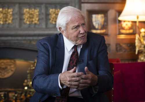David Attenborough calls for bold action to help save planet ahead of COP26