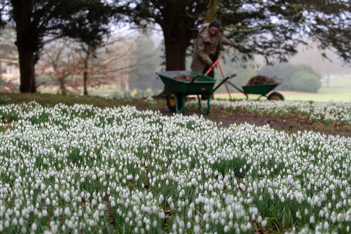 The UK’s ‘best places to live’ revealed in annual Sunday Times guide