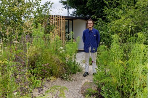 How to design small gardens: RHS Young Garden Designer of the Year William Scholey reveals his top tips for tiny outdoor spaces
