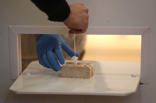PCR Testing: A complete guide to PCR tests for holidays