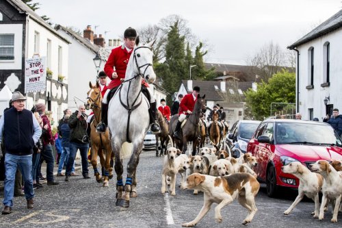 Proposed ban on hunting with dogs in Northern Ireland divides opinion at Stormont