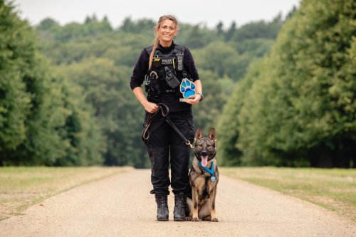 Brave police dogs and handlers recognised at inaugural Thin Blue Paw Awards