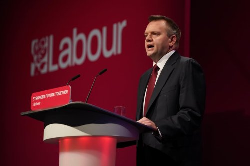 No plans to reintroduce freedom of movement or customs union, MPs told