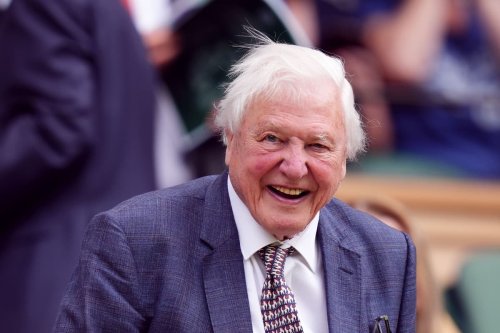 New David Attenborough and Freddie Flintoff shows to air on Disney+ in 2025