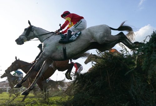 Grand National 2024: Complete runner-by-runner guide as field confirmed