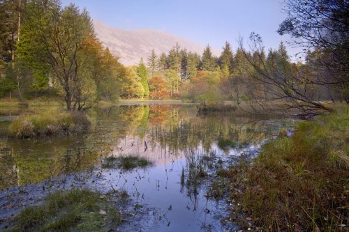 Wild landscape in Lake District designated as ‘super’ national nature reserve