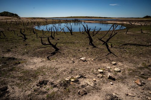 Window of opportunity to preserve liveable climate rapidly closing - UN