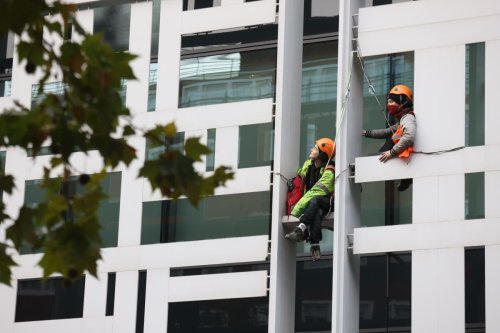 Four charged after Animal Rebellion protesters scale London building