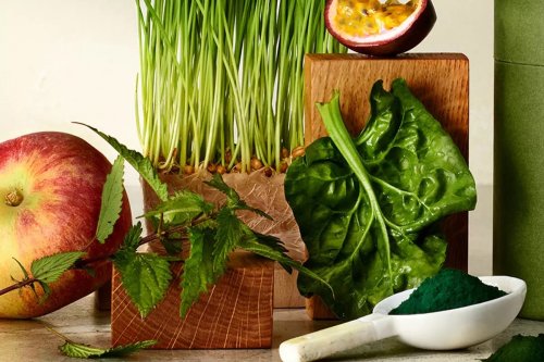 Best greens powder to add essential nutrients to your diet