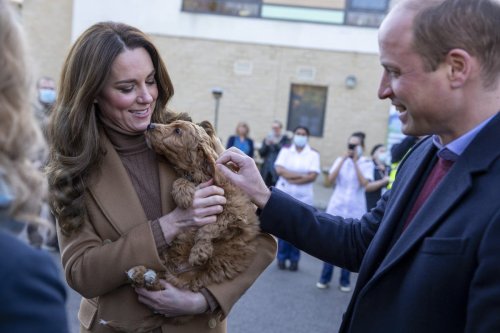 Princess and the pup: Kate cuddles adorable therapy dog called Alfie
