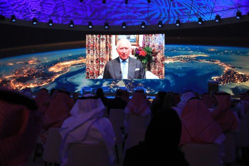 Charles warns of ‘dangerously narrow window’ for green recovery