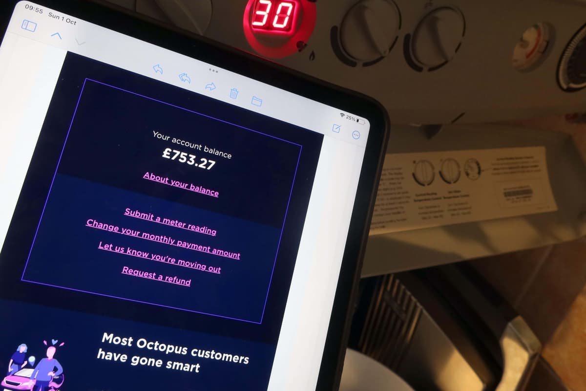 Watchdog partially upholds complaints about ‘misleading’ Octopus Energy ads